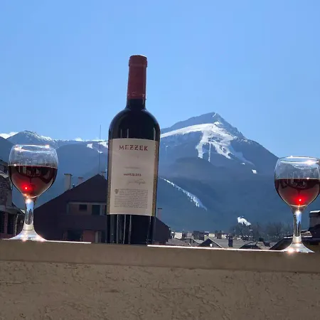 アパートホテル Dolomiti