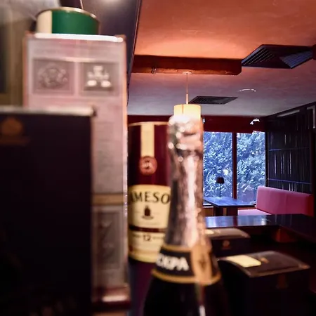 Dolomiti מלון דירות בנסקו